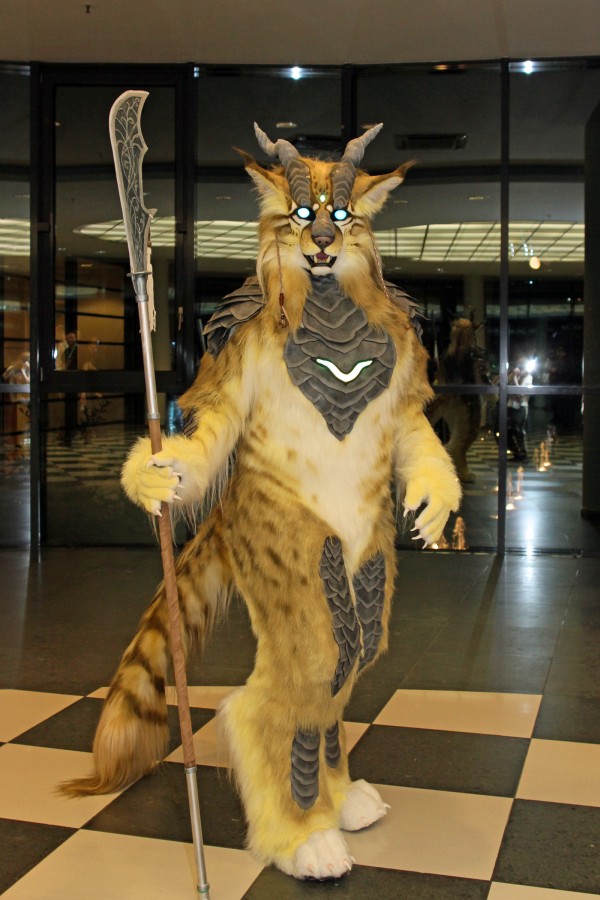 Eurofurence 22, Indoors