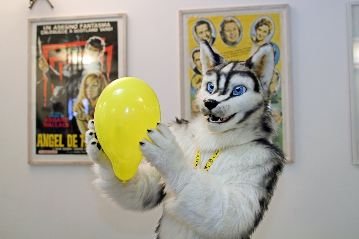 Eurofurence 22, Indoors