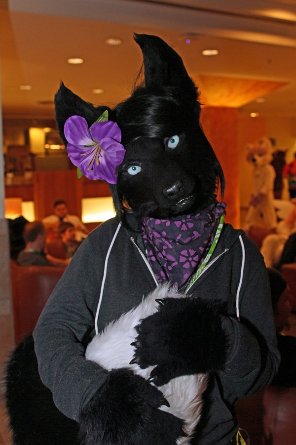 Eurofurence 22, Indoors