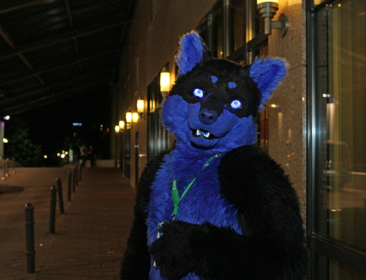 Eurofurence 22, Outdoors