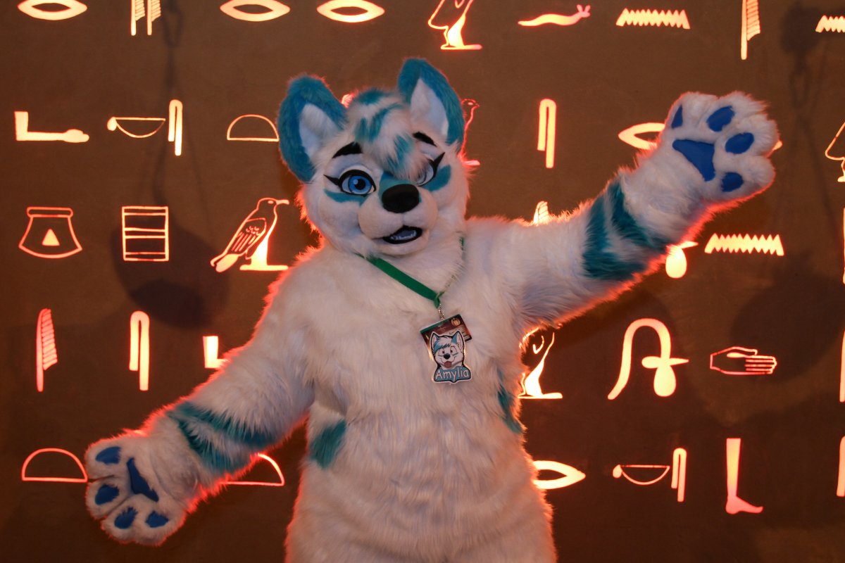 Eurofurence 23, Hieroglyph wall