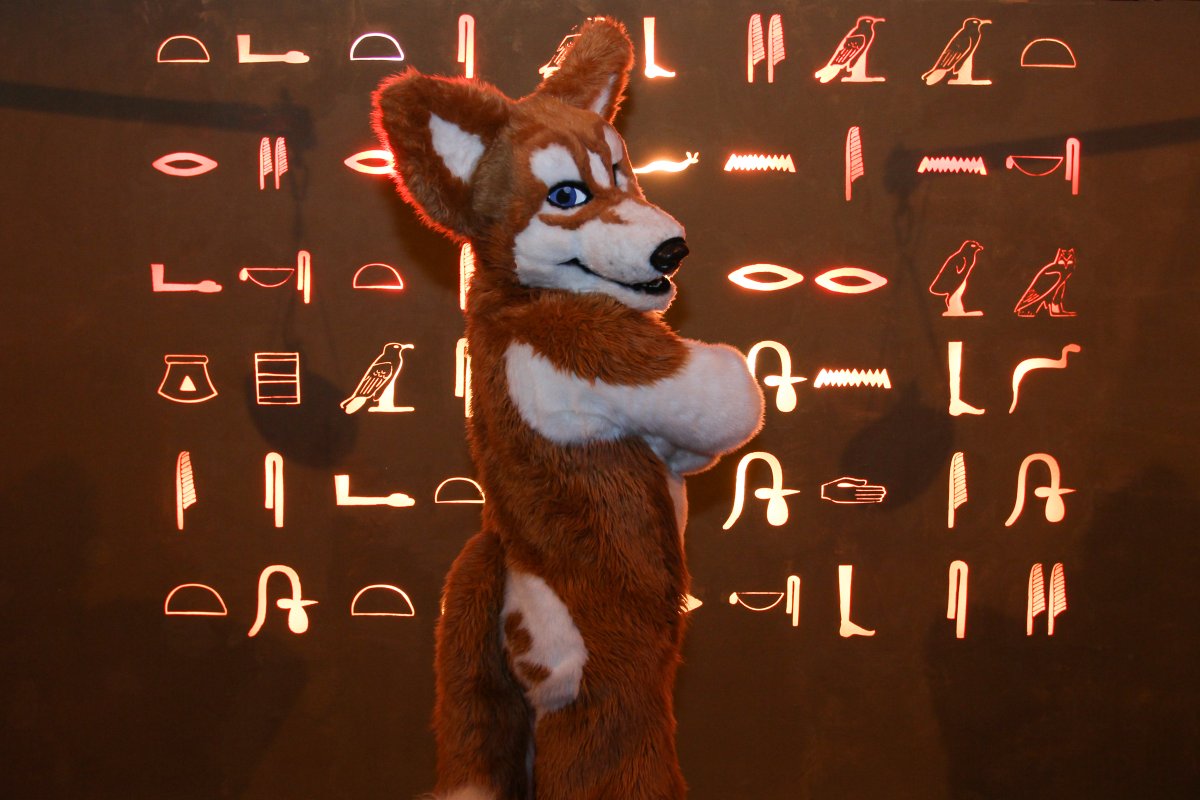 Eurofurence 23, Hieroglyph wall