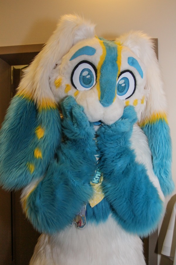 Eurofurence 23, Fursuits