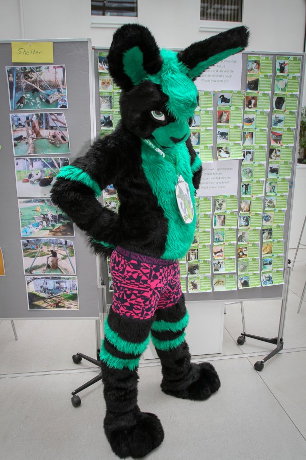 Eurofurence 23, Fursuits