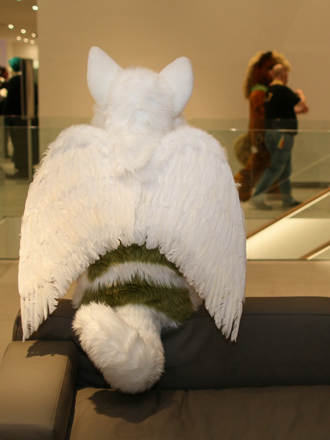 Eurofurence 23, Fursuits