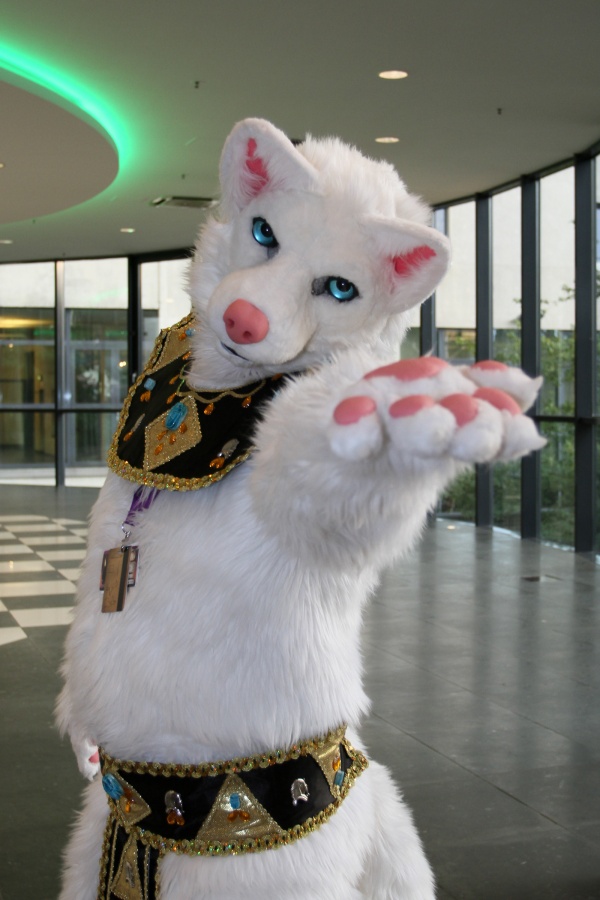 Eurofurence 23, Fursuits