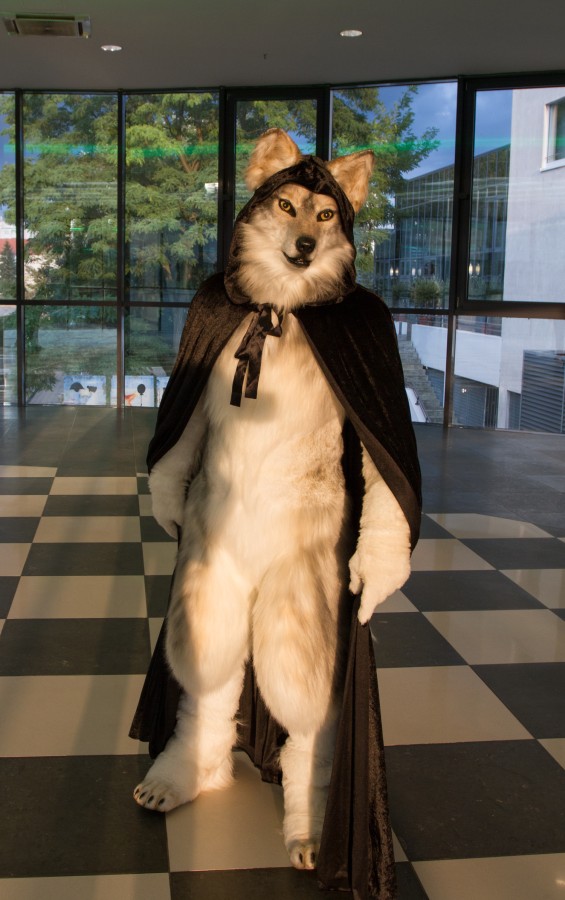 Eurofurence 23, Fursuits
