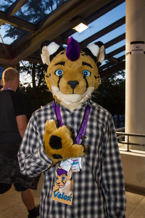 Eurofurence 24, Fursuiters