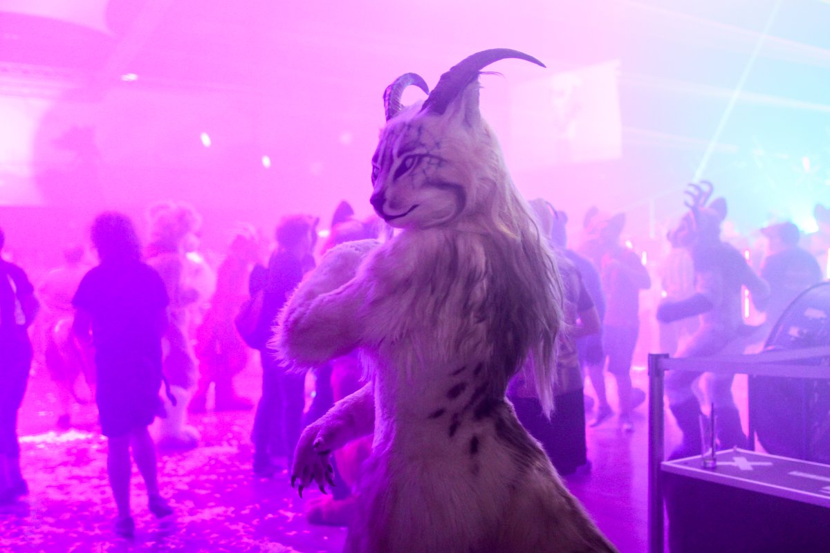 Eurofurence 24, Music