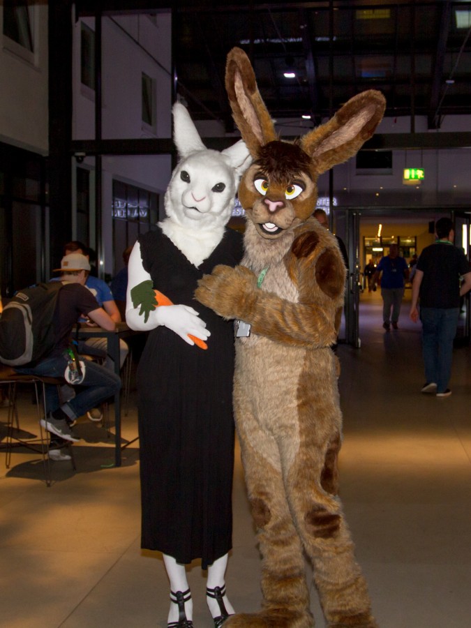 Eurofurence 24, Lumie bunny