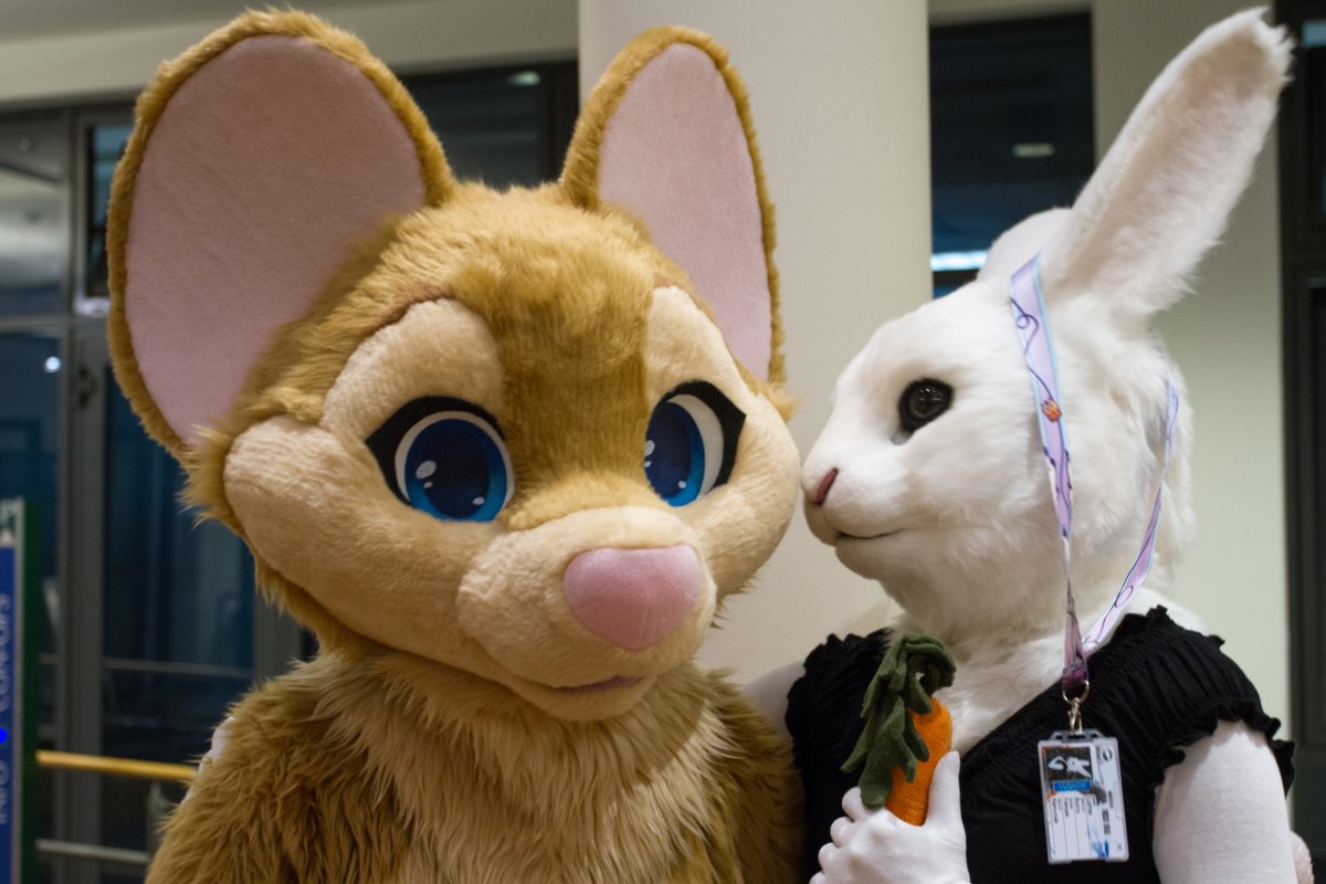 Eurofurence 24, Lumie bunny