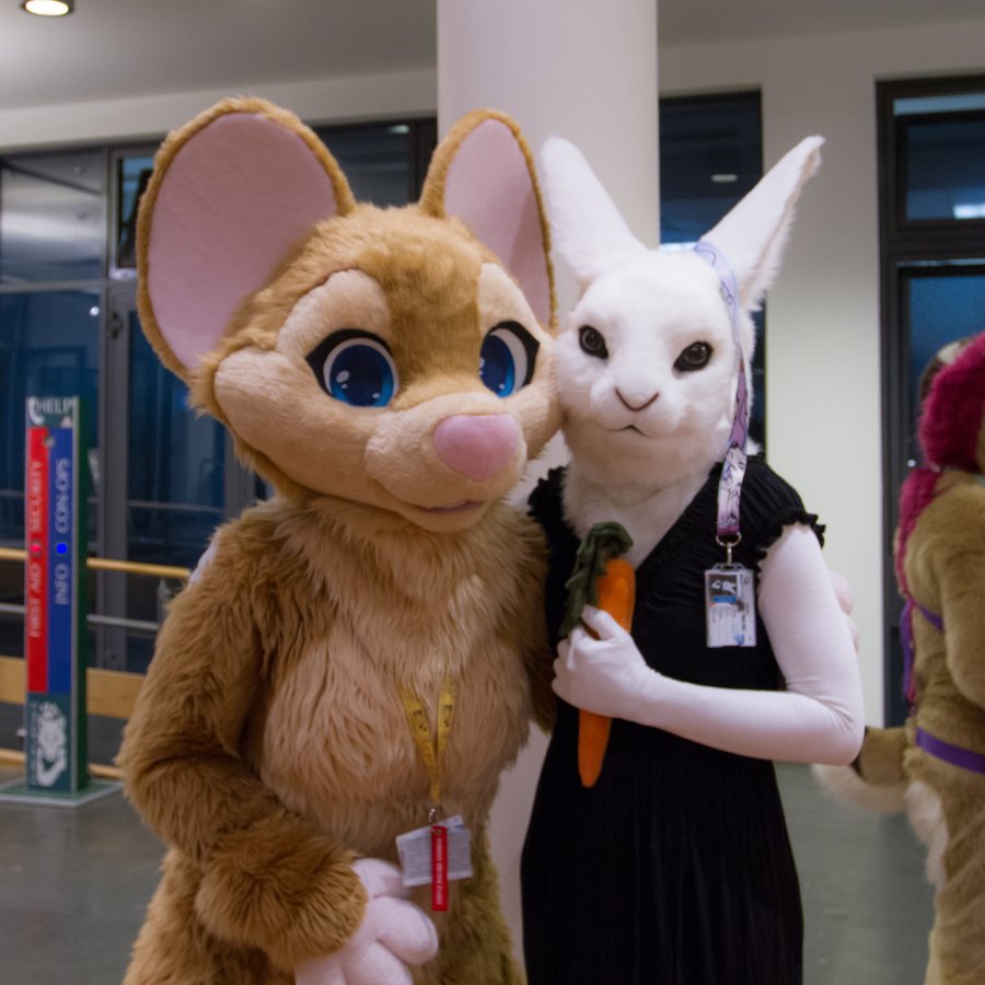 Eurofurence 24, Lumie bunny