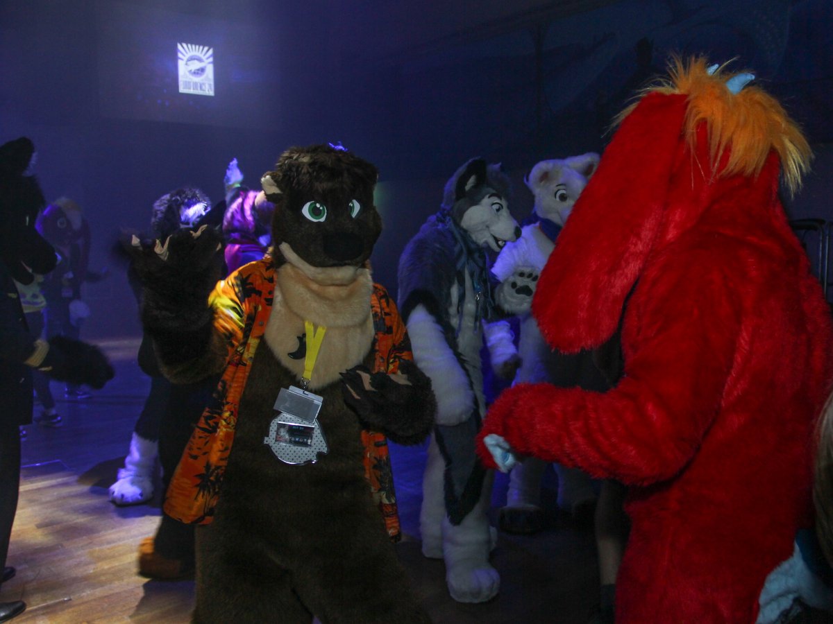 Eurofurence 24, Music