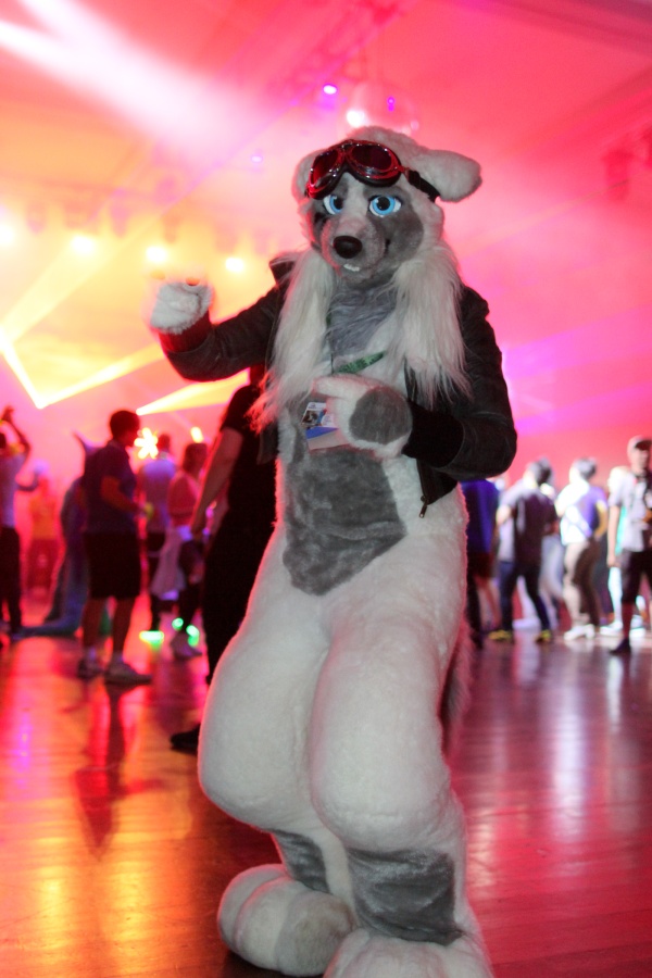 Eurofurence 24, Music