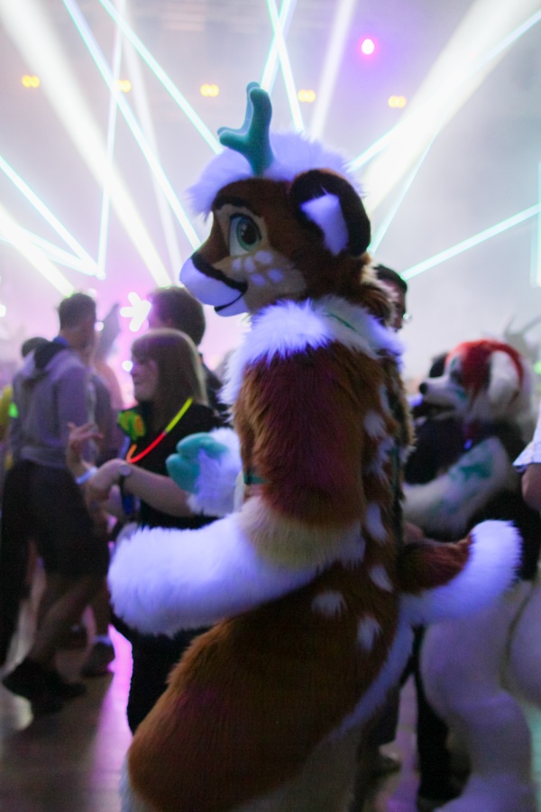 Eurofurence 24, Music