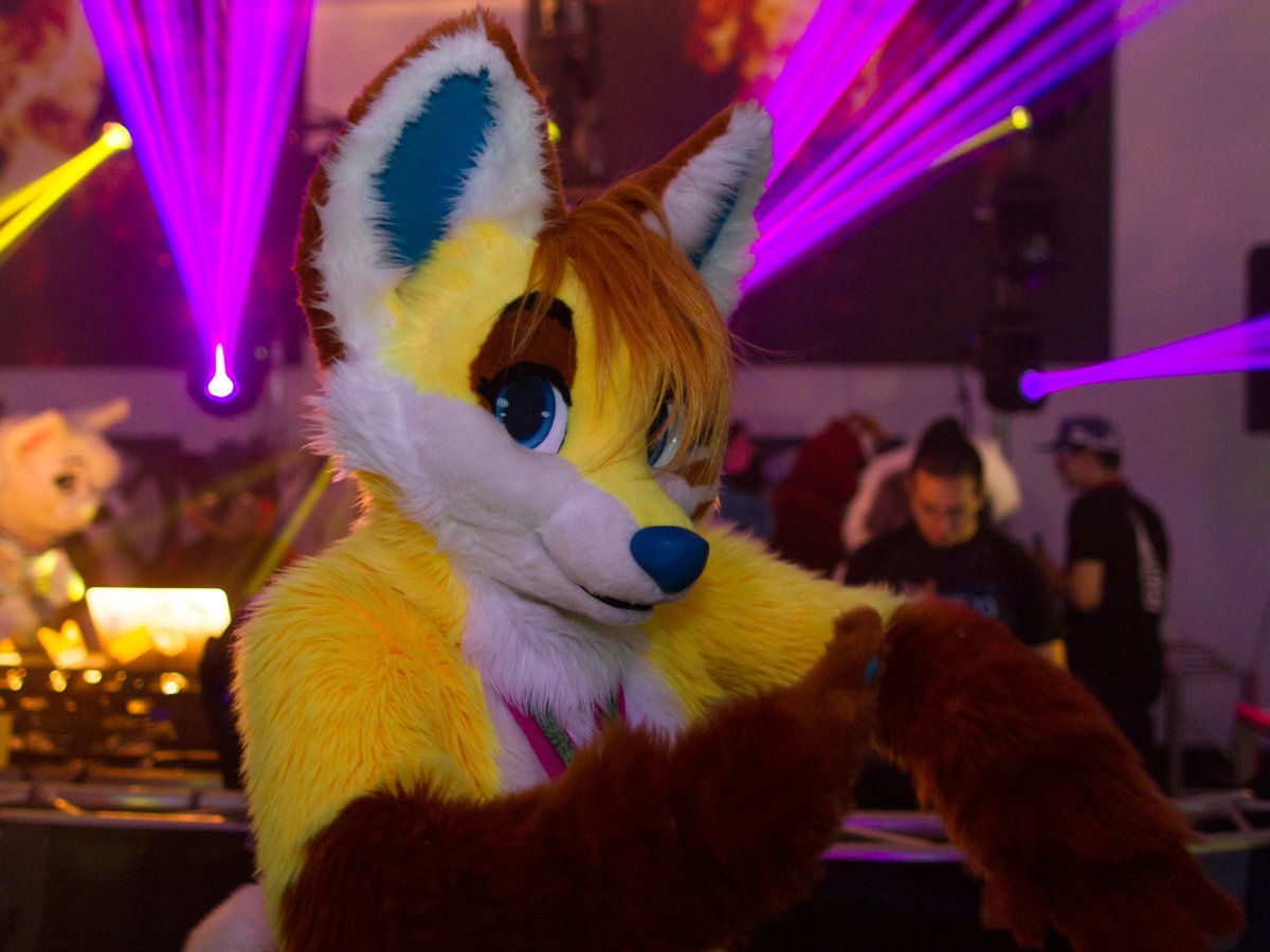 Eurofurence 24, Music