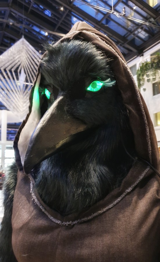 Eurofurence 25