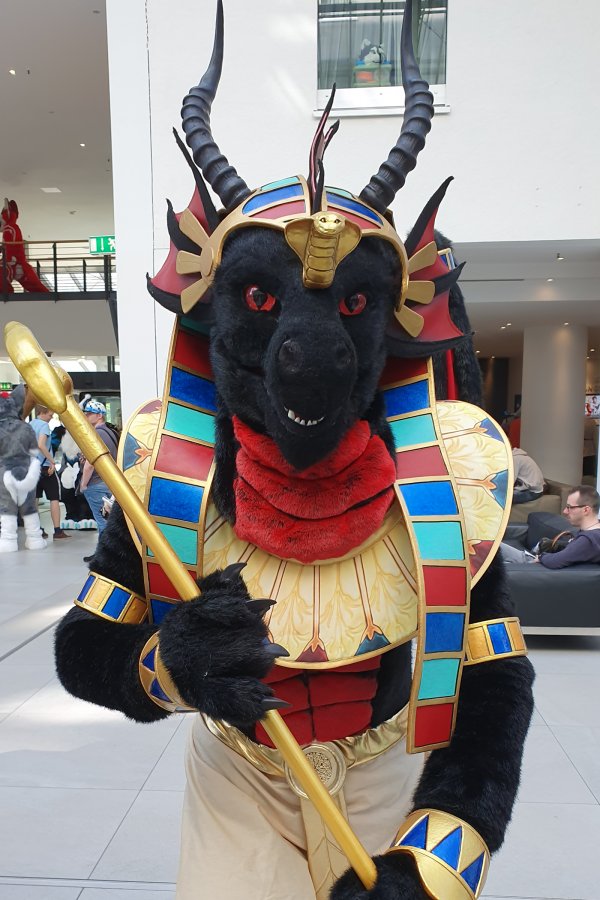 Eurofurence 25