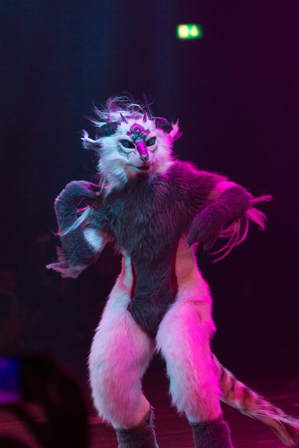 Eurofurence 25, Dances