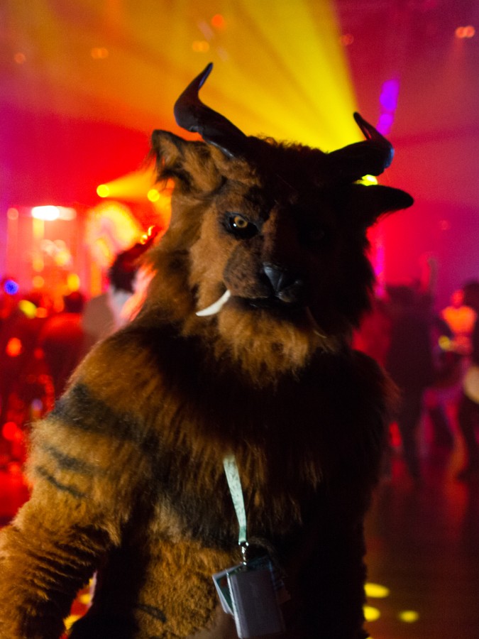 Eurofurence 25