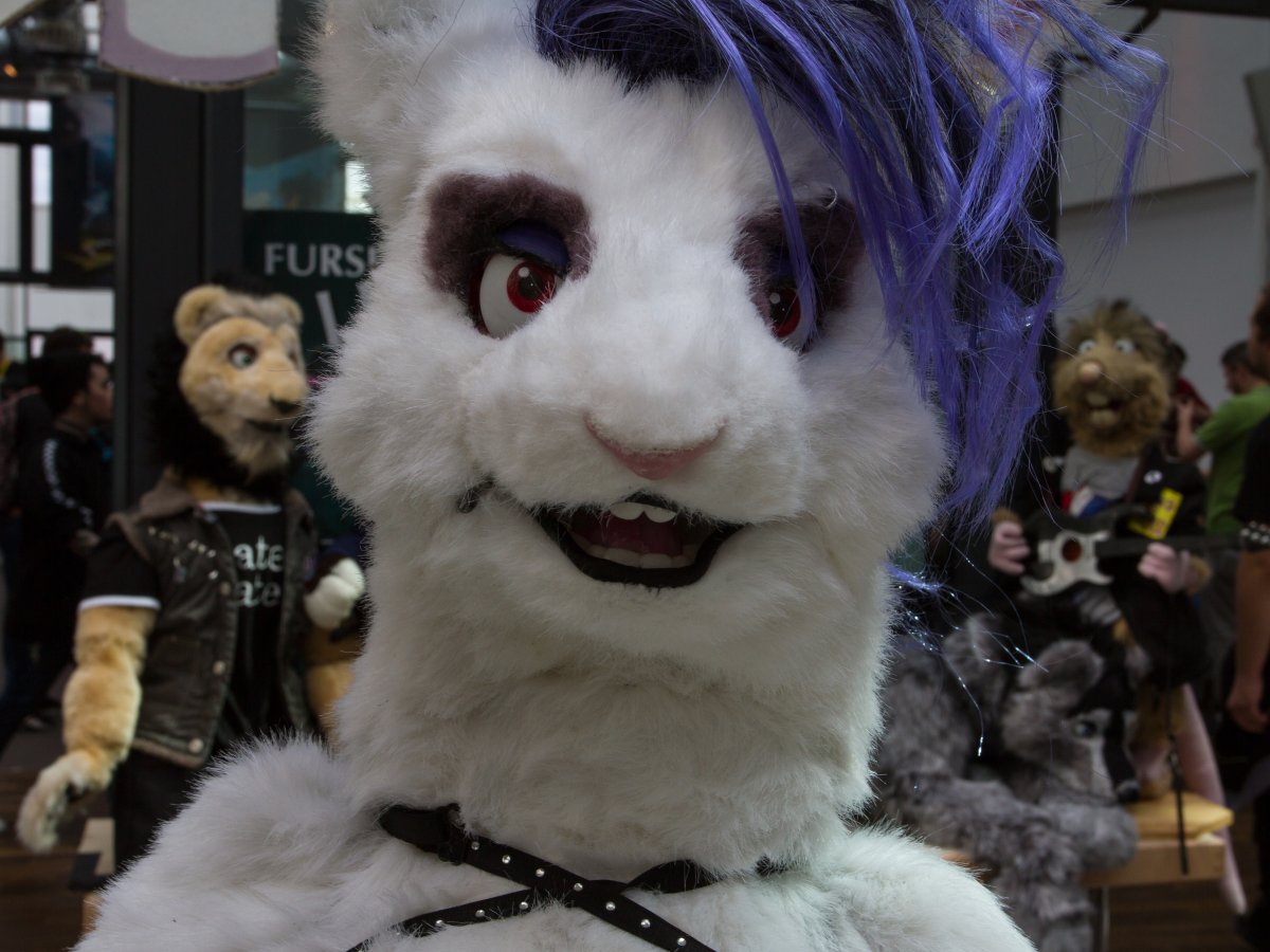 Eurofurence 25, Other photos
