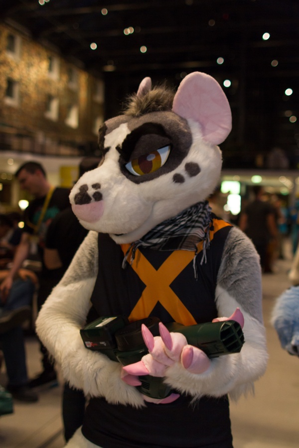 Eurofurence 25