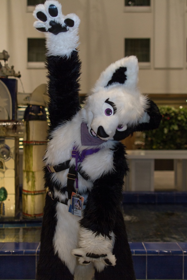 Eurofurence 25, Fursuiters