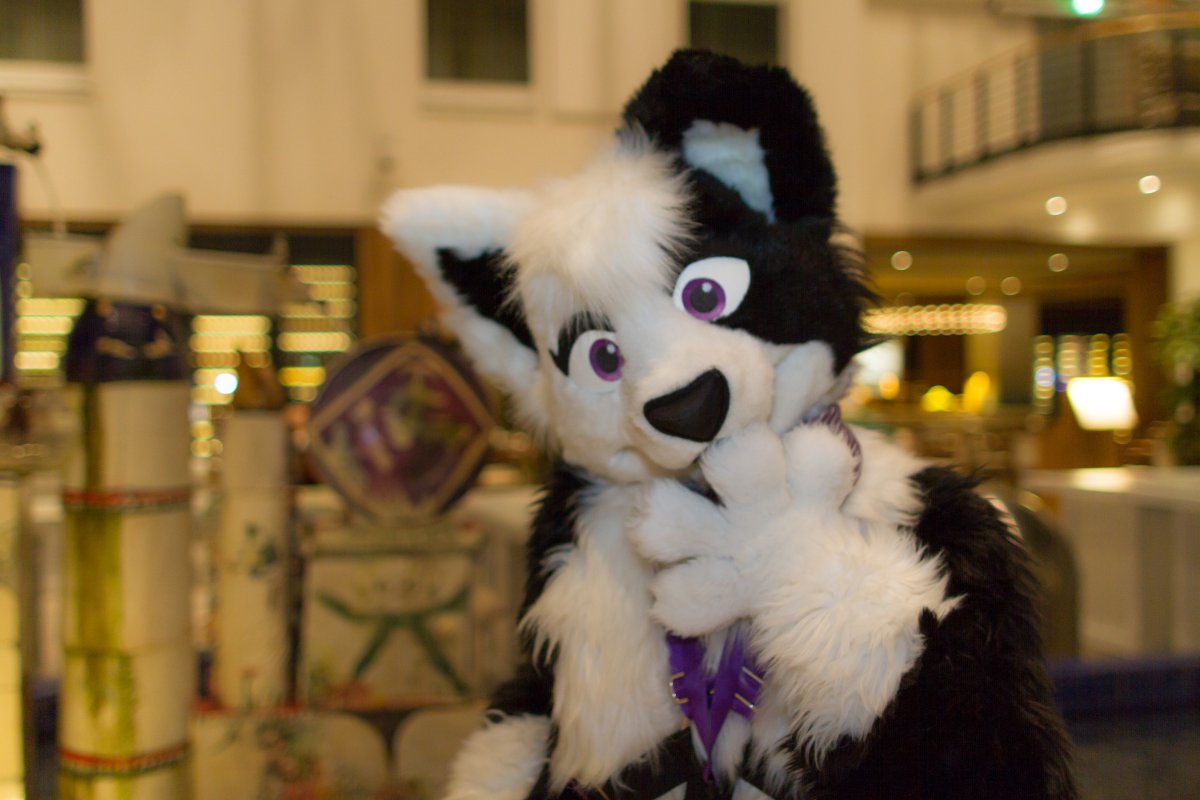 Eurofurence 25, Fursuiters