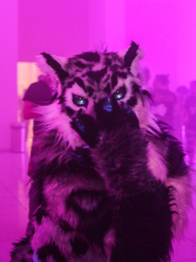 Eurofurence 25