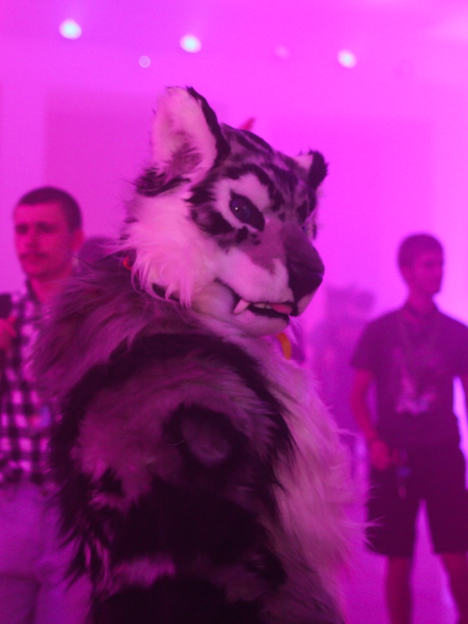 Eurofurence 25, Dances