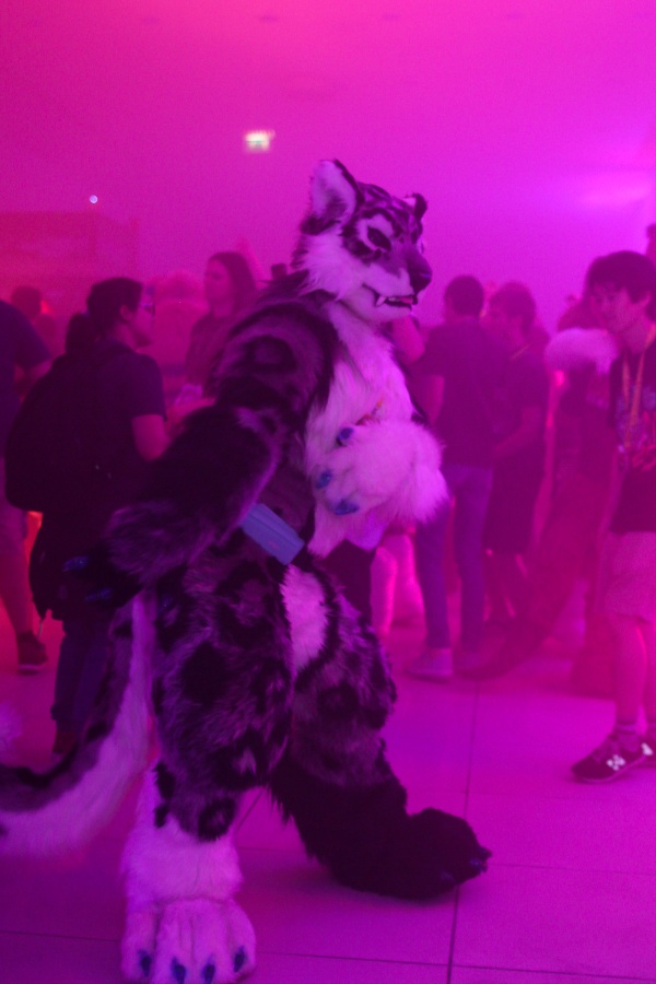 Eurofurence 25, Dances