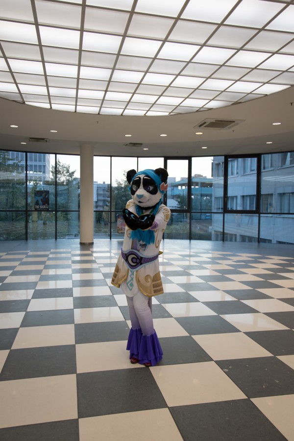 Eurofurence 26, Mini photoshoots