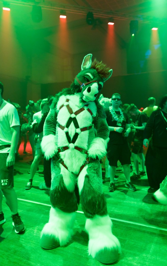 Eurofurence 26, Dances