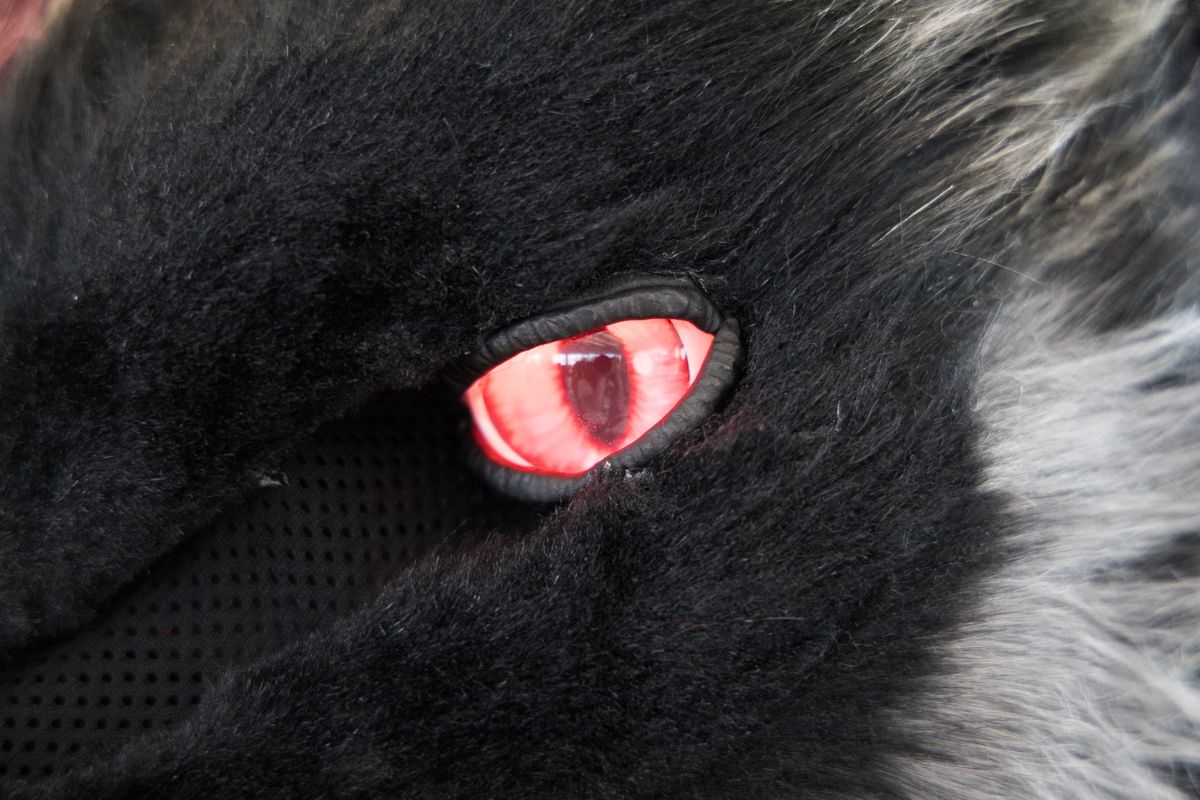 Eurofurence 26, Fursuits