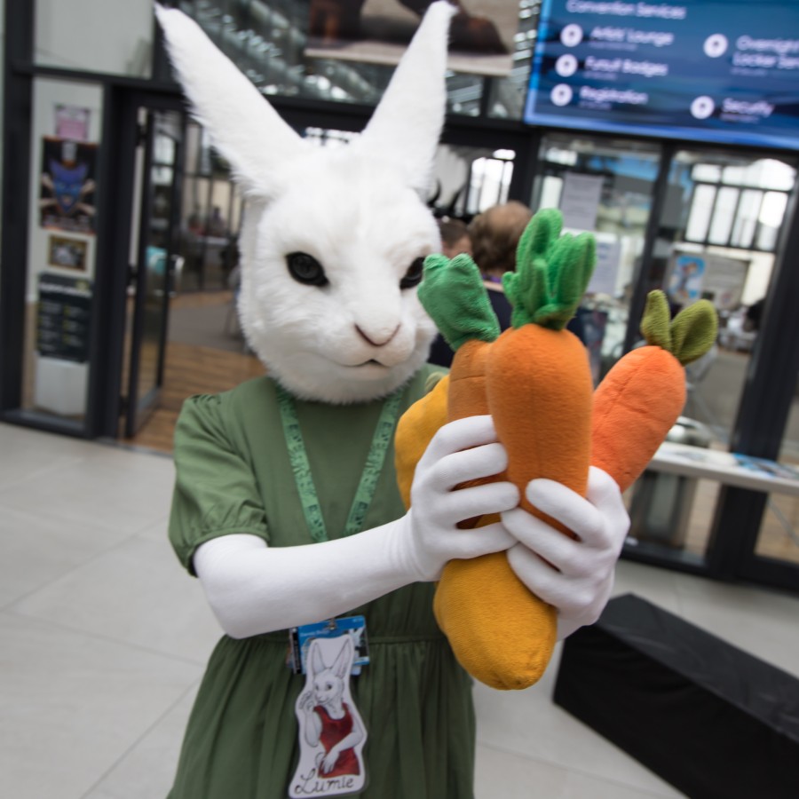 Eurofurence 26, Lumie bunny