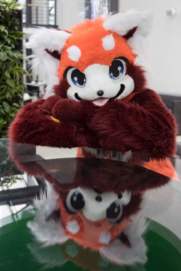 Eurofurence 26, Fursuits
