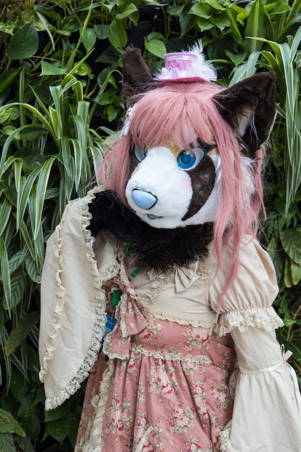 Eurofurence 26, Mini photoshoots