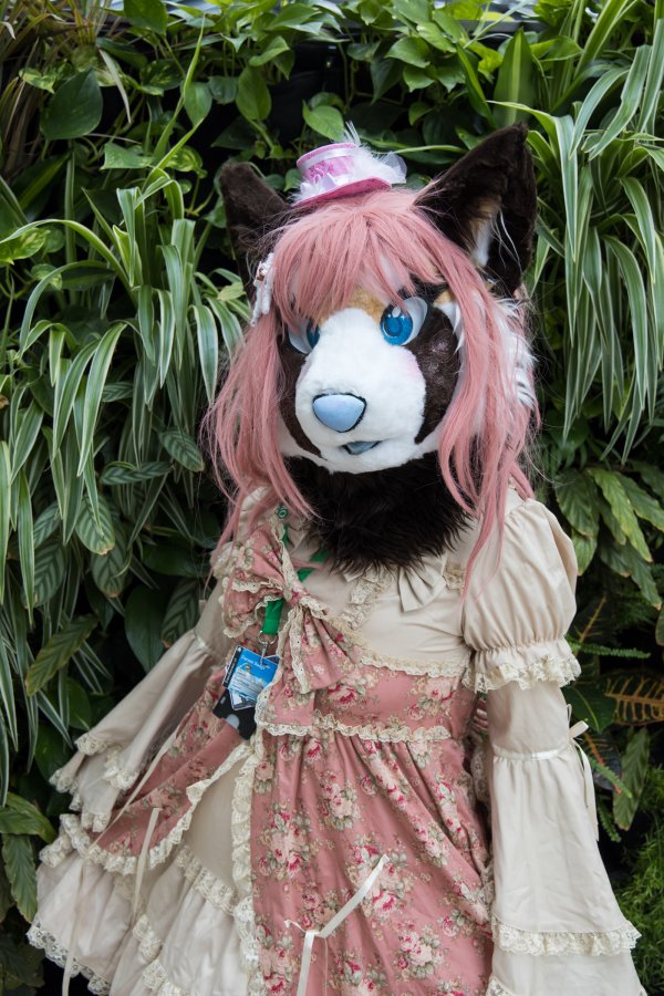 Eurofurence 26, Mini photoshoots