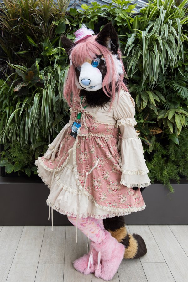 Eurofurence 26, Mini photoshoots