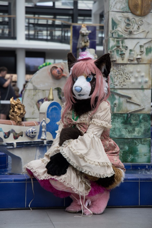 Eurofurence 26, Mini photoshoots