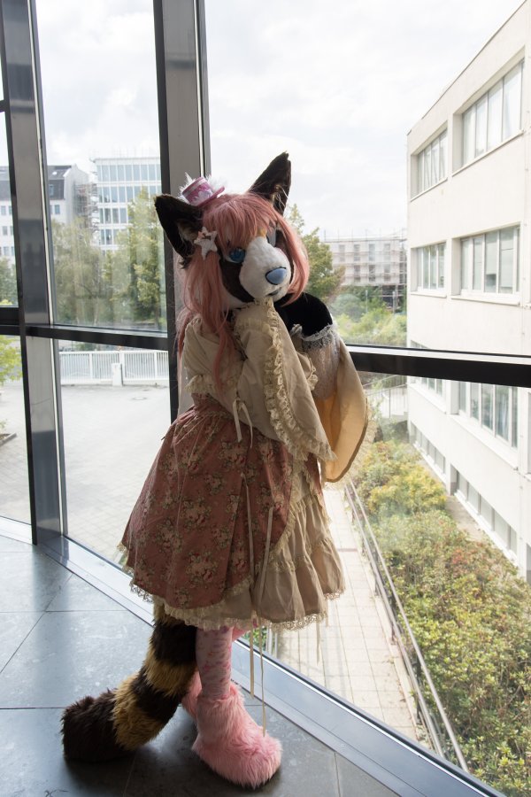 Eurofurence 26, Mini photoshoots