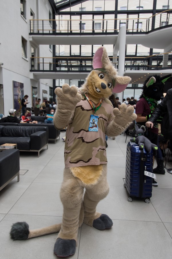 Eurofurence 26, Fursuits