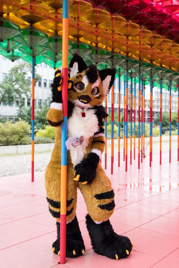 Eurofurence 26, Fursuits