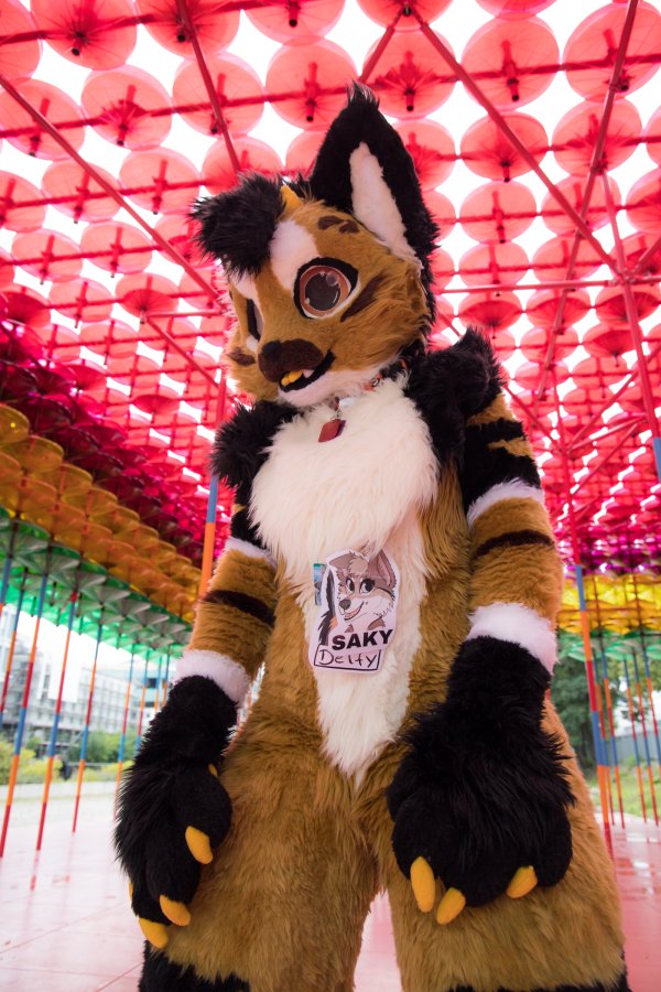 Eurofurence 26, Fursuits