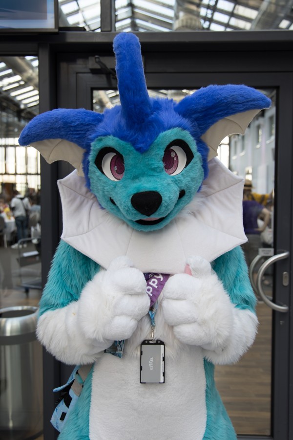 Eurofurence 26, Fursuits