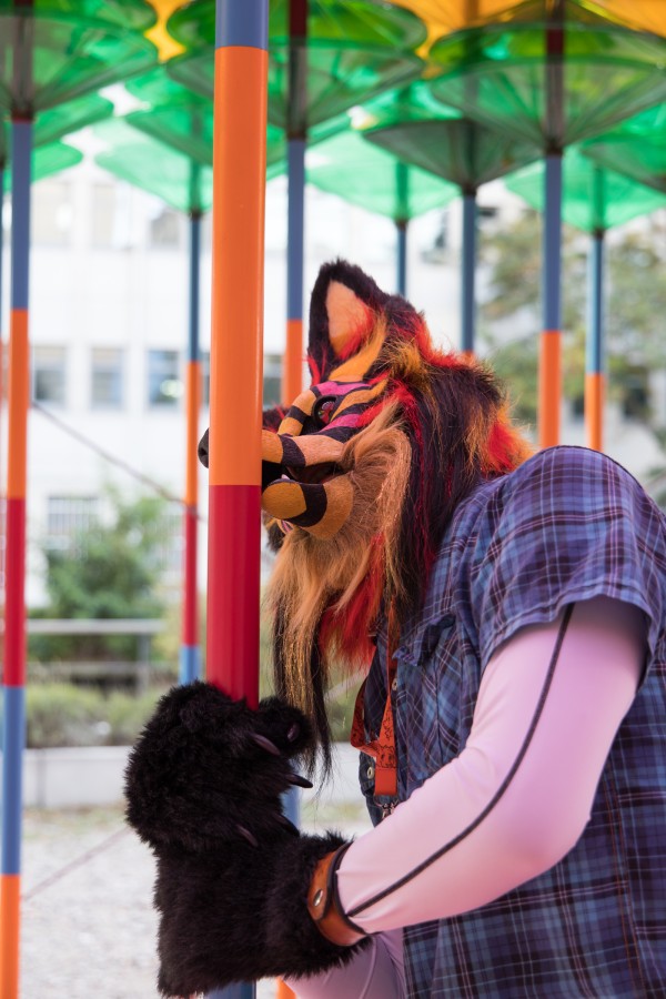 Eurofurence 26, Mini photoshoots