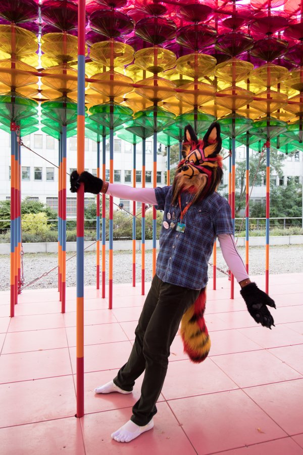 Eurofurence 26, Mini photoshoots