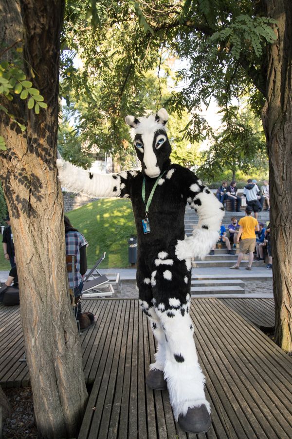 Eurofurence 26, Fursuits