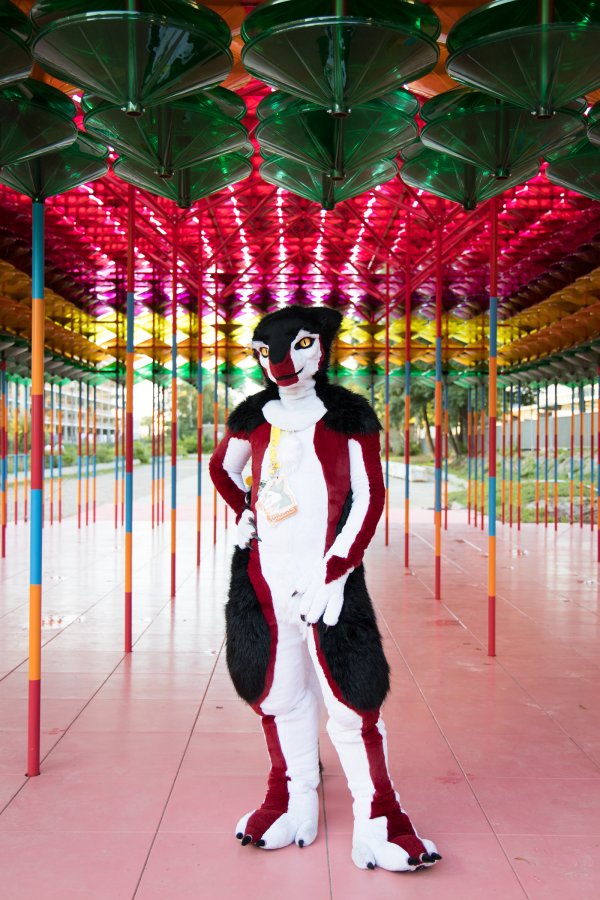 Eurofurence 26, Fursuits