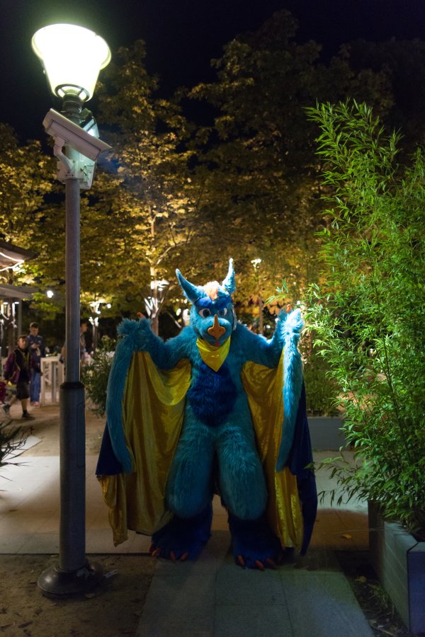 Eurofurence 26, Mini photoshoots
